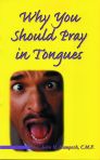 Why You Should Pray In Tongues
